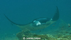 Taken with zoom, in a vicious current, holding on to a sm... by James Laker 